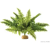 Exo Terra Rainforest Plant Boston Fern - Kunstplanten
