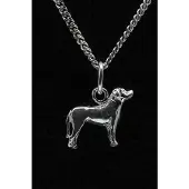 MOOYE ® - Collectie Zilveren Zwitserse sennenhond ketting hanger - klein