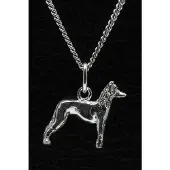 MOOYE ® - Collectie Zilveren Mexikaanse naakthond ketting hanger - klein