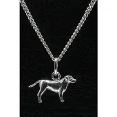 MOOYE ® - Collectie Zilveren Entlebucher sennenhond met staart ketting hanger - klein