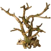 Ebi Aqua Della Bonsai bruin zonder bladeren (Andere objecten)