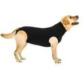 Suitical International B.V. Herstelpak voor honden, zwart, maat: XL