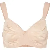 Triumph BH 'Essential' nude