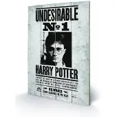 Merchandising Harry Potter Undesirable No1 Wood Print