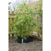 Nature - Anti-worteldoek - 0,7 x 5m - zwart - wortelwerend doek