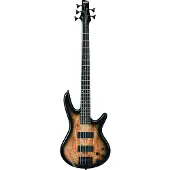 Ibanez Gsr205Sm-Ngt Natural Gray Burst Gio