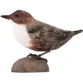 Wildlife Garden DecoBird - Waterspreeuw
