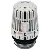 IMI Heimeier Thermostaatkop K M30x1,5 ingebouwde voeler met diefstalbevoor 602000500