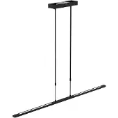 Steinhauer Zelena LED Hanglamp | 25W 2200K/4000K 2500lm 922/940 | Dimbaar