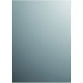 Plieger spiegel Basic 120x45cm