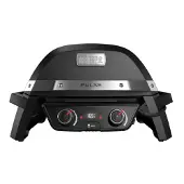 Weber Pulse 2000