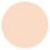 Bourjois Touche Healthy Mix Brush Concealer - 61 Beige Clair