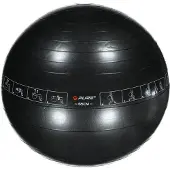 Pure - Fitnessbal - Met oefeningen - 65 cm - Inclusief handpomp