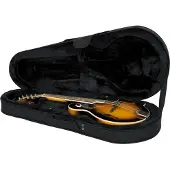 Gator Mandolin Softcase - GL