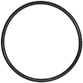 Mega Pool O-Ring voor Deksel SB zwembadpomp