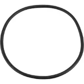 Pentair O-ring voor filterdeksel 2" Tagelus zandfilter
