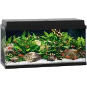 Gebr. De Boon Juwel aquarium Primo 110 met filter zwart Juwel