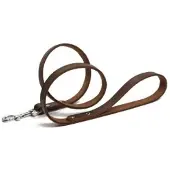 Beeztees Geniet - Hondenriem - Bruin - Leer - 1 meter - 16 mm