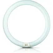 Philips tl-cirkelbuis 22w 219mm kl840(21