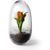 Design House Stockholm Grow Greenhouse L - Bloempotten Glas Clear - 2376-0000