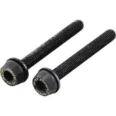 Campagnolo bouten voor schijfremklauw achter 39 mm 2 stuks