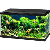 Ciano Aquarium 60 Cf80 Led 58 L Zwart
