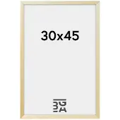Walther design AJ045S Wissellijst Papierformaat: 30 x 45 cm (b x h) 30 cm x 45 cm Zilver