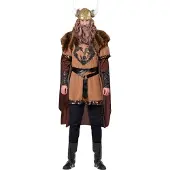Widmann Vikinghelm Wicky de Viking voor carnaval