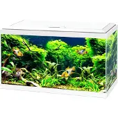 Ciano Aquarium 60 Led Cf80 58 L Wit