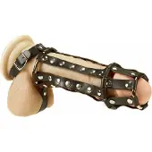 Rimba - Lederen Penis Sleeve - Spijkertjes aan Binnenkant - Verstelbaar met Gesp M/L