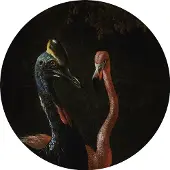 Groovy Magnets Magneetsticker Ø60 cm - Cassowary And Friend