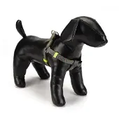 Beeztees BZ NY GESCH SPIRA HEGRUE 60-10 (Hond, Algemeen)