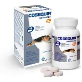 Ecuphar Cosequin Advance Msm Ha 40cpd Hondensupplement