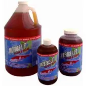 Microbe-Lift filter bacteriën Clean & Clear 1 ltr