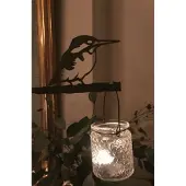 Birdwise - IJsvogel
