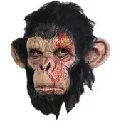 Vegaoo Masker van een aap met een ontstoken kop voor volwassenen (Halloween) - Verkleedmasker - One size