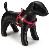 Beeztees Hondentuig Uni Roze 35-60 X 1,5 Cm