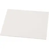 Packlinq Canvas Paneel, A2 42x60 cm, dikte 3 mm, 280 gr, 10stuks