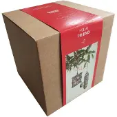 Singing Friend SingingFriend Giftbox SAM en ANNA incl. Voer