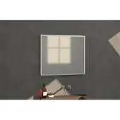 Brauer Onyx rechthoekige spiegel 80x70cm RVS geborsteld