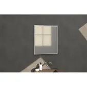 Brauer Onyx spiegel – rechthoek – 60x70 cm – Aluminium geborsteld (zilver) SP-ON60RHA