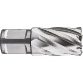 Kippers Rijssen HSS Kernboor SILVER-LINE, weldon 19, ø33x30 - 536.3300W