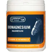 Ginza.se - BioMagnesium - 400g