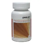 Ayurveda Health Amalaki 120 tabletten