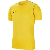 Nike Functioneel shirt 'Park 20' geel / zwart