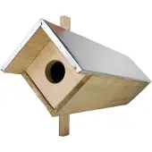 Best for birds Steenuilenkast