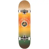 Globe G1 Ablaze 7.75" Complete ombre