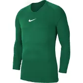 Nike Basislaag 'Park First' groen / wit