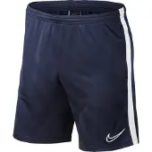 Nike Dry Academy 19 Shorts Blauw 12 Years Jongen