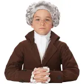 California Costumes - Edele barokke kinderpruik